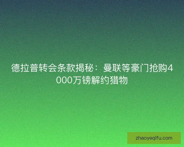 德拉普转会条款揭秘：曼联等豪门抢购4000万镑解约猎物